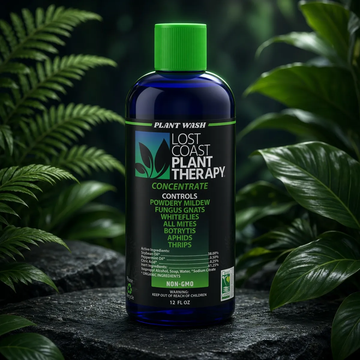 Lost Coast Plant Therapy Plant Wash 12 oz concentrate with herbs (AI-generated lifestyle image)