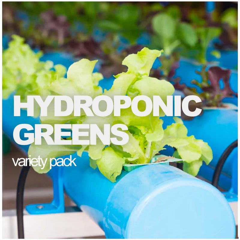 SeedsNow Seeds for your hydroponic garden.